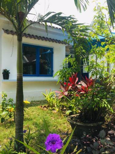 Bed & Breakfast Hoi An Blue Seaside Homestay