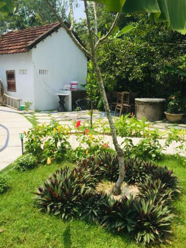 Bed & Breakfast Hoi An Blue Seaside Homestay