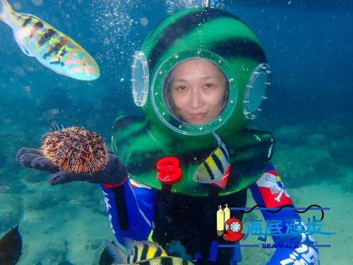 Penghu Color Fish Homestay