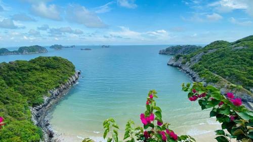 Villa *bom Homes* Flamingo Cat Ba Resort