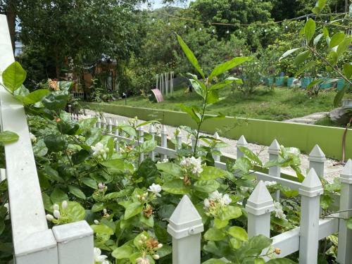 Lodge Windy Hill Catba Homestay