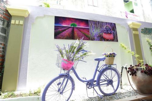 Lodge Windy Hill Catba Homestay