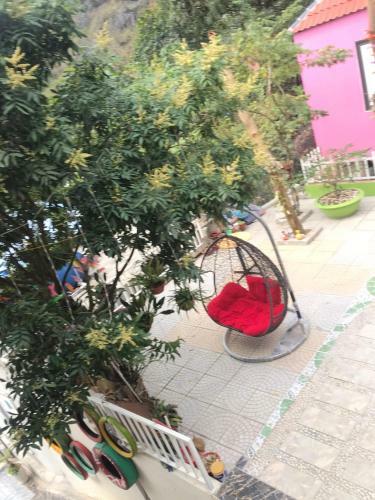 Lodge Windy Hill Catba Homestay