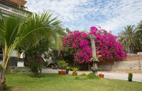 Hotel Catsen Bungalows & Pool - Mui Ne Centre