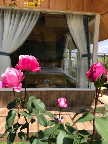 Hotel Homestay La Faro