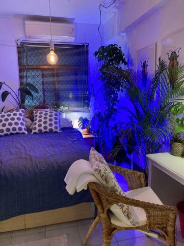 A Room By The Harbour