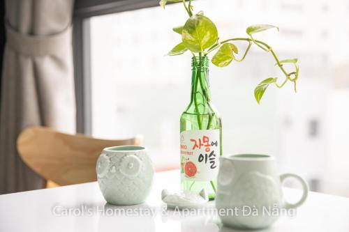 Carol Homestay & Apartment Da Nang 3