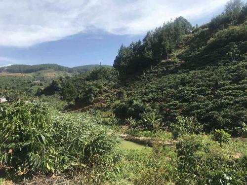 Agroturismo Ovi Coffee Farmstay ?� L?t