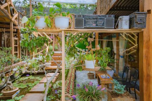 Hostal G? Th�ng Homestay