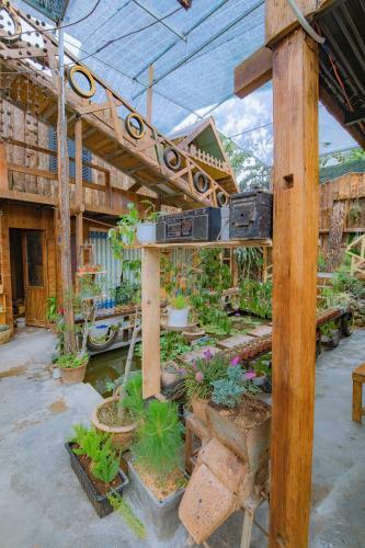 Hostal G? Th�ng Homestay