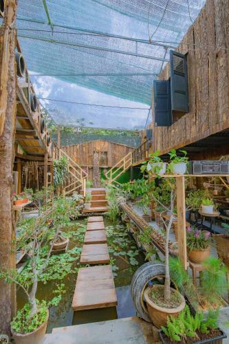 Hostal G? Th�ng Homestay