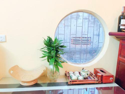 Aura Home 16typh