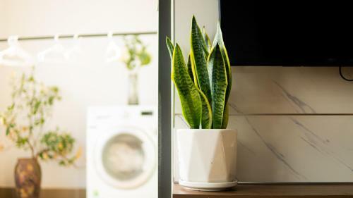 M Apartment Lakeside