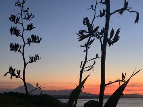 180� Seaviews, Superior Coastal Cottage