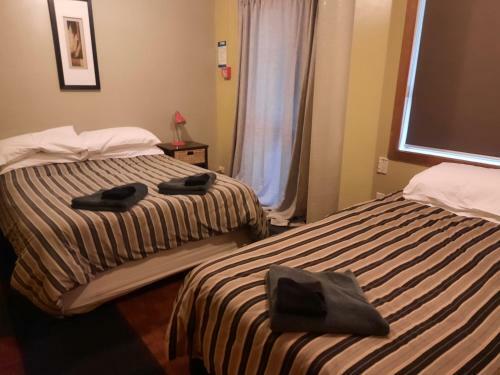 Albergue Mountain House, Arthur's Pass Yha