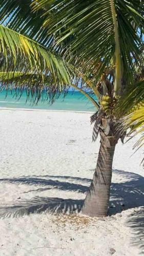 Apartamento Loft Gaviota El Cuyo Beach