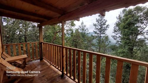 Caba�a En El Bosque de San Jos� Del Pac�fico