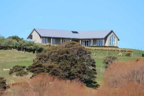Bed & Breakfast Gallin Farm Alpacas And Farmstay