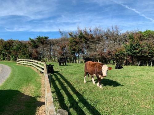 Brixton Farm Stay