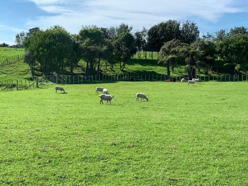Brixton Farm Stay