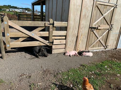 Brixton Farm Stay