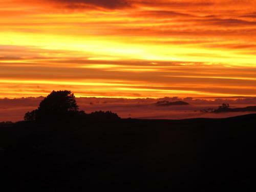 Hostal Waihi Gold Alpacas 3 Or 4 People