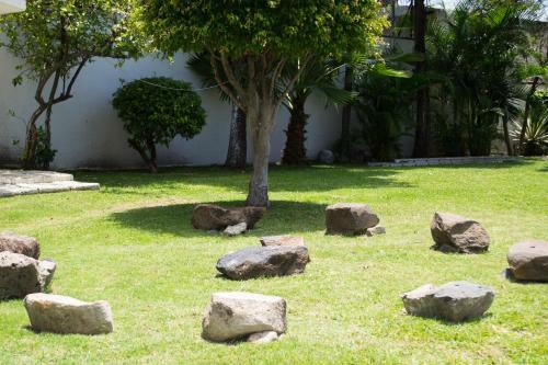 Villa Cuernavaca Casa Completa De Lujo, Piscina Climatizada