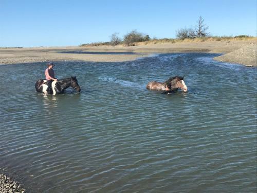 Private Beachside Oasis. Bring The Horse!