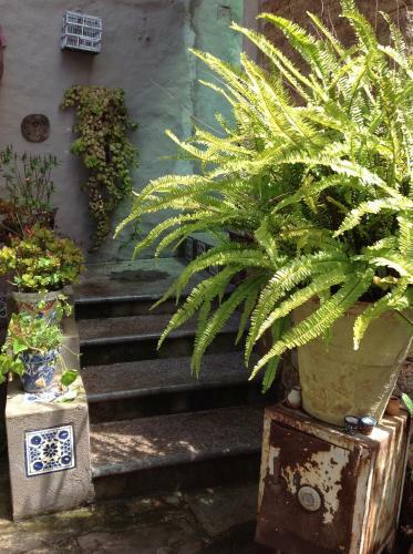 Casa Ex Hacienda