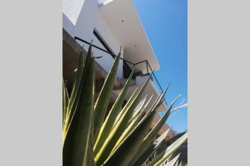 Apartamento C�modo Y Moderno Departamento Cerca De Cu. #1