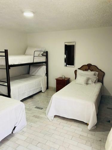 Albergue Hostal Guadalajara Cosmopolitan Providencia