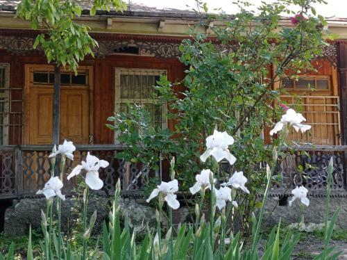 Hostal Guesthouse Kvedrula