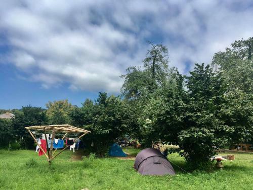 Dumbo Eco Camp