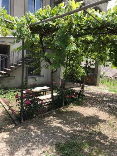 Apartamento Giorgi