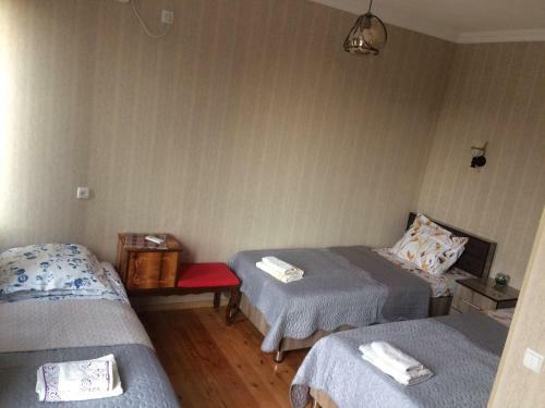 Hostal Guest House David