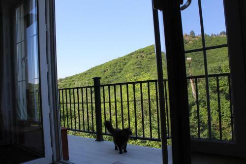 Apartamento The Nature