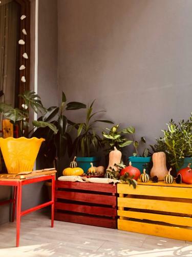 Tekatuka?s Sweet Apartment ?life ?happiness