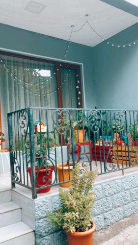 Tekatuka?s Sweet Apartment ?life ?happiness