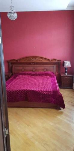 Hostal G.gvanceladze 67