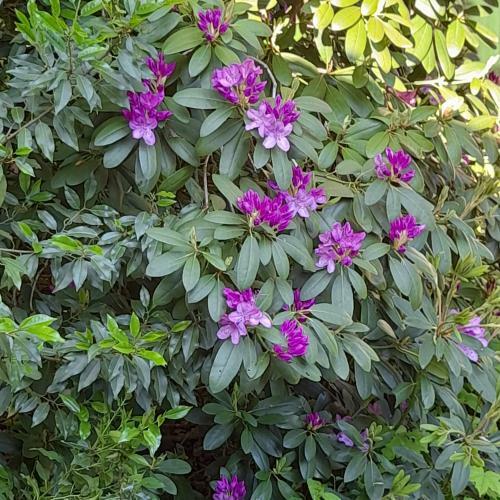 Recreatiepark De Veluwe