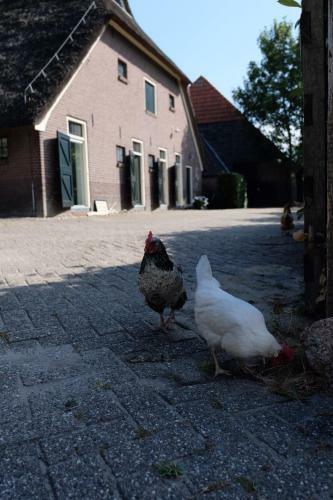Bed & Breakfast Onder De Appelboom