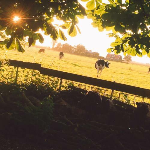 B&B De Pauw - Country Home Cooking