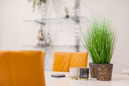Luxurious Two Bedroom Apartment A Kwartier Center