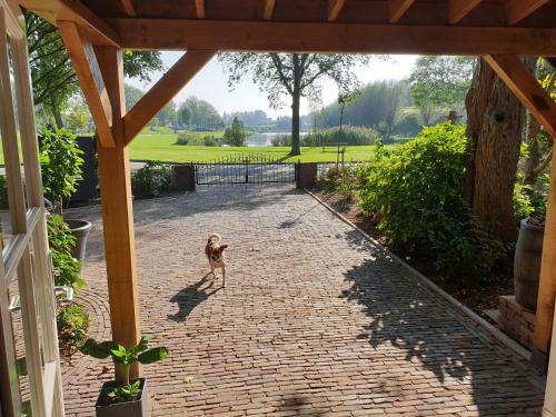 Bed & Breakfast The Walnut Tree