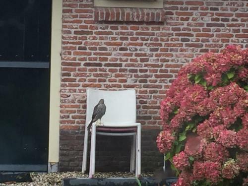 Groeten Uit Hoogmade - Rural Cottage