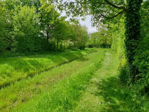 Vrijstaande Vakantiebungalow Ruiterplaat
