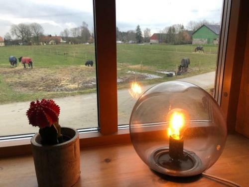 Bed & Breakfast Flyingehus G�rdshotell