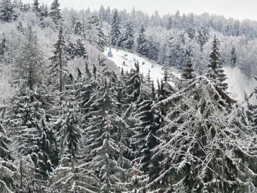 12 Residence Apartment