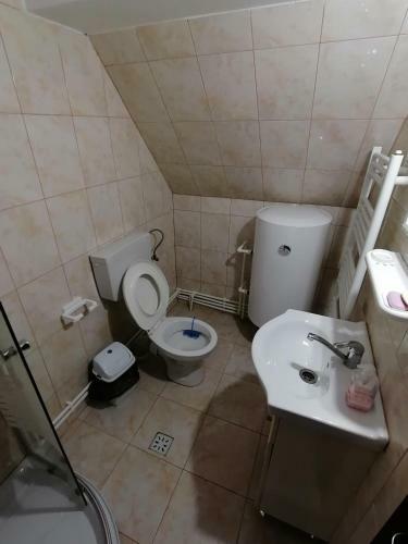 Hostal Pensiunea Poarta Lui Ionele