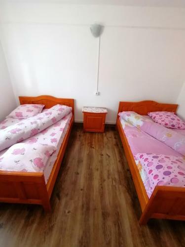 Hostal Pensiunea Poarta Lui Ionele
